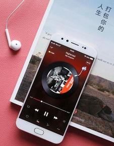 手机在线看国产,手机在线观影新体验